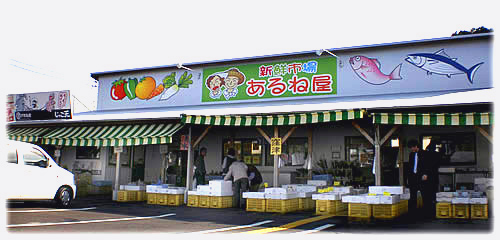 �Ƃ�Ƃ�Y�n�����̋��E��؁E�ʕ��@���y�Y�@����ˉ�