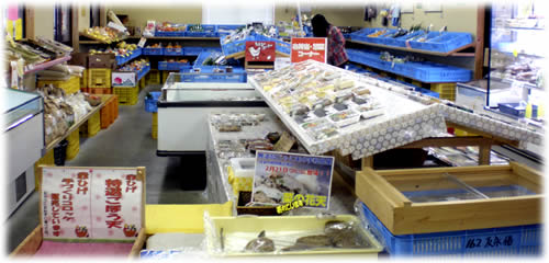 �Ƃ�Ƃ�Y�n�����̋��E��؁E�ʕ��@���y�Y�@����ˉ�