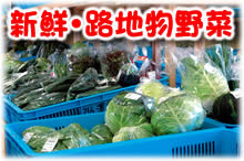 �V�N�s�ꂠ��ˉ���X