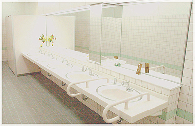 �����p�F���ʎ��