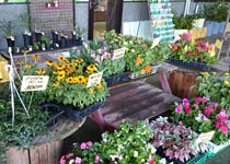 ���|�R�[�i�[